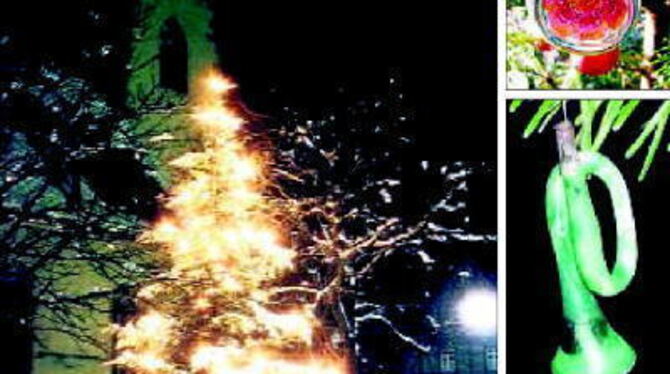 Früher stand vor der Martinskirche ein Weihnachtsbaum (rechts das Rathaus). Die kleinen Bilder zeigen typischen Weihnachtsbaumsc