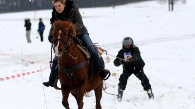 Rasant durch den Schnee: Skijöring bei Willi Wolf.  FOTO: DIET