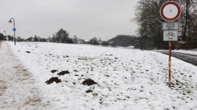 Noch von Schnee bedeckt, und nicht von Häusern: das anvisierte neue Wohngebiet Baumsatz IV in Pliezhausen.  GEA-FOTO: PACHER