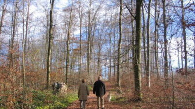 Friedwaldbesucher auf dem Weg zu &raquo;ihrem&laquo; Baum, den sie immer wieder besuchen kommen. GEA-FOTO: OELKUCH