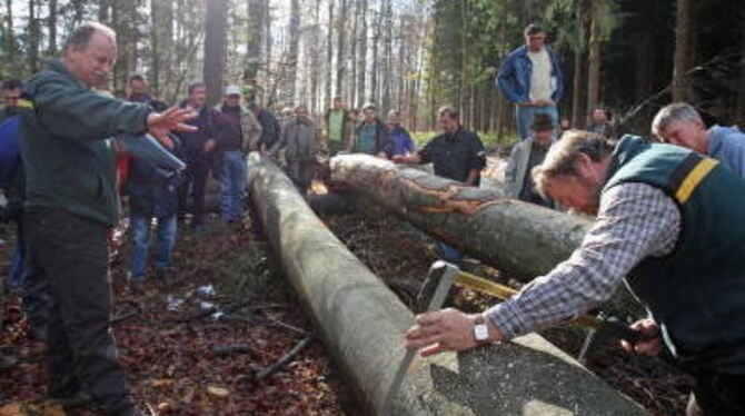 Oberforstrat Klaus Franz und Förster Heinz Thumm (rechts) zeigen, wie Buchenstämme am sinnvollsten zerteilt werden. FOTO: BAIER