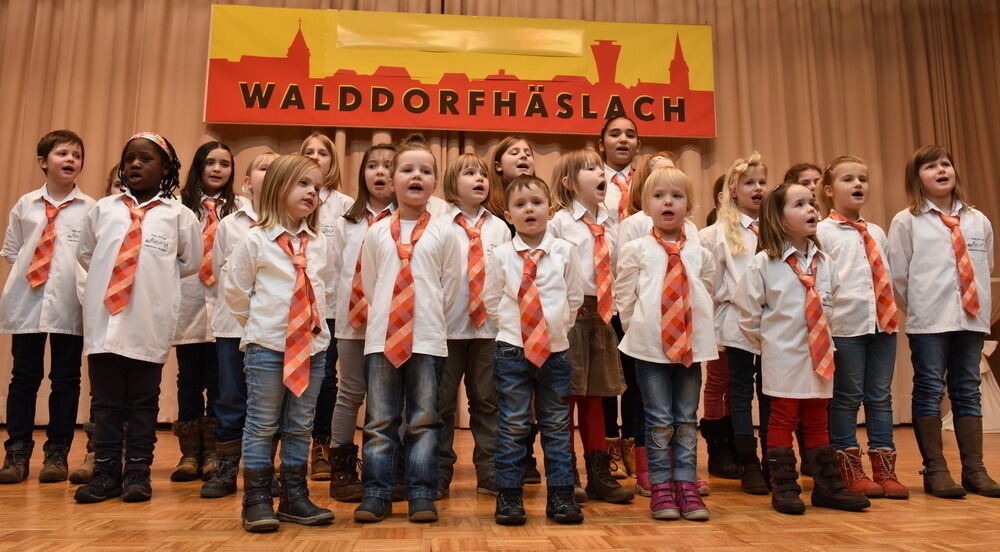 Neujahrsempfang Walddorfhäslach 2016