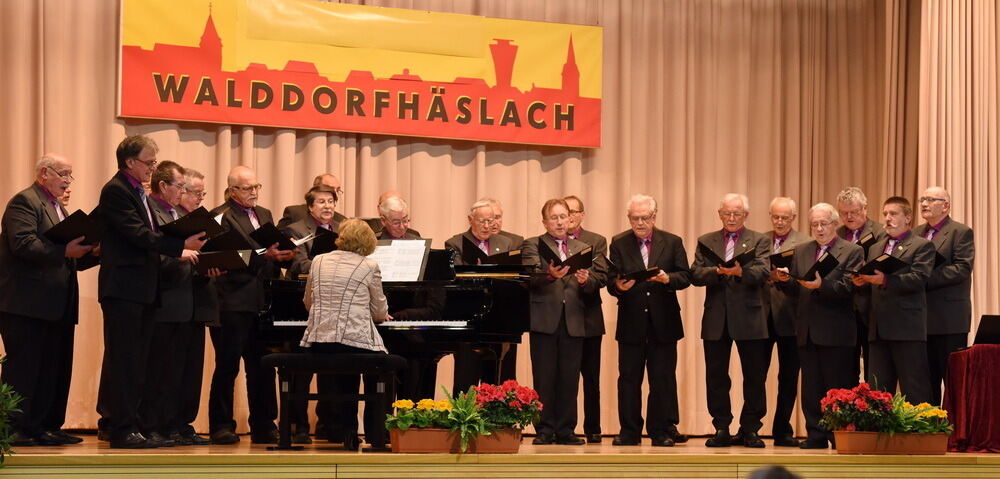 Neujahrsempfang Walddorfhäslach 2016