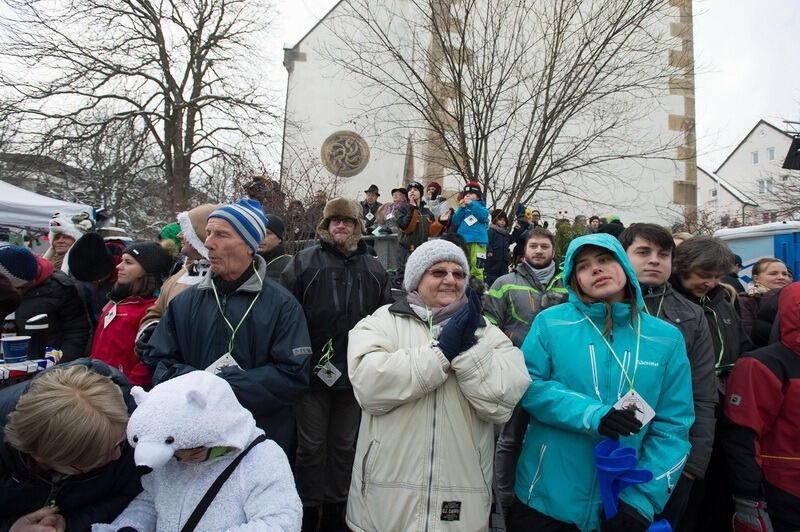 Narrenumzug in Pfullingen 2016