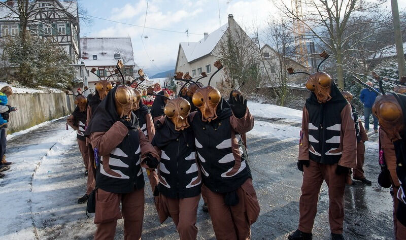 Narrenumzug in Pfullingen 2016