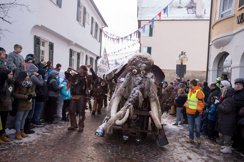 Narrenumzug in Pfullingen 2016