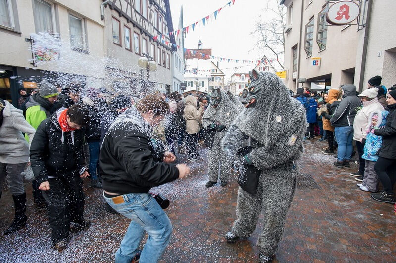 Narrenumzug in Pfullingen 2016