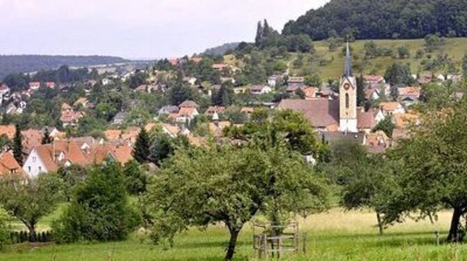 Umgeben von Wiesen (hier Hinter Höfen) und Äckern: Gönningens Entwicklungsmöglichkeiten liegen im Inneren des Ortes. Das Zentrum