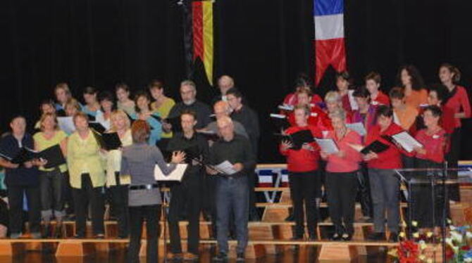 Sang mit viel Schwung: der »Chorales Choeurs et Accords« aus Chaussan. FOTO: AVG