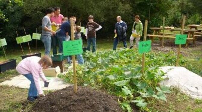 Nicht nur Kinder können auf dem Dußlinger Abfall-Lehrpfad viel entdecken.
FOTO: BCF