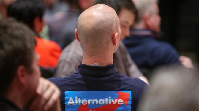 Ein Mitglied der AfD während einer Wahlkampfveranstaltung seiner Partei. Foto: Fredrik von Erichsen