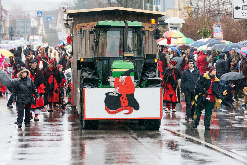 Narrentreffen Mössingen Januar 2016