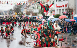 Narrentreffen Mössingen Januar 2016