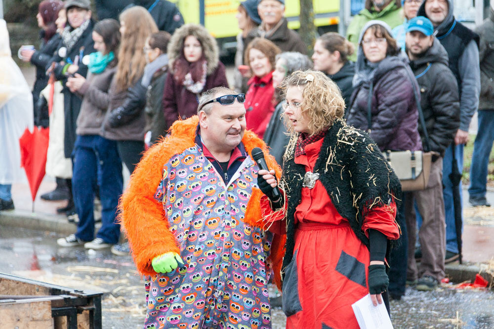 Narrentreffen Mössingen Januar 2016