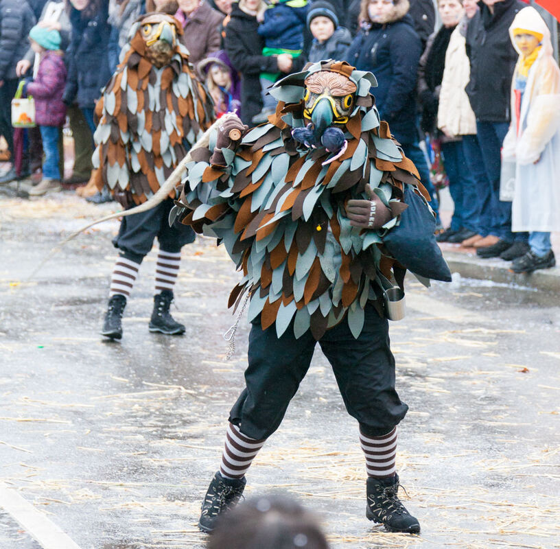 Narrentreffen Mössingen Januar 2016