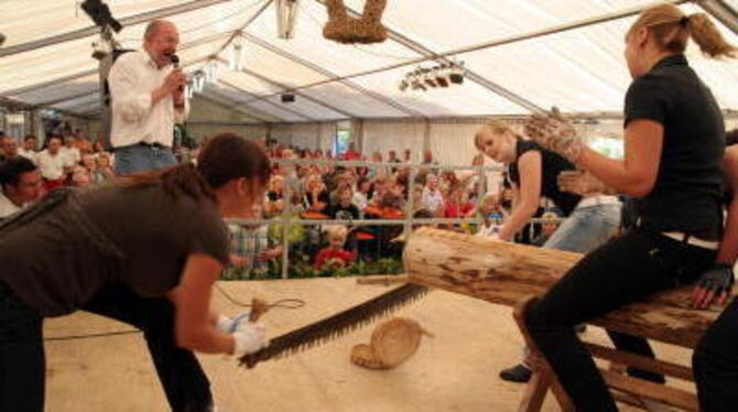 Ausgefeilte Technik und reibungsloses Zusammenspiel: Reichenecker Frauen sägten bestens ab beim Reichenecker Dorffest, der tradi