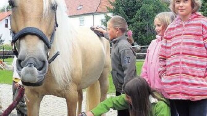 Mit Geduld und Genuss lässt sich Lilly von den Kindern des Lichtensteiner Ferienprogramms auf Hochglanz bringen.  
FOTO: SOL