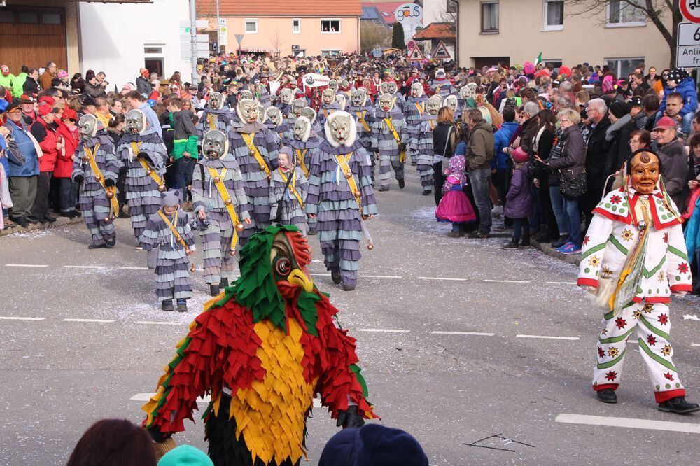 27. Großengstinger Fasnetsumzug 2016