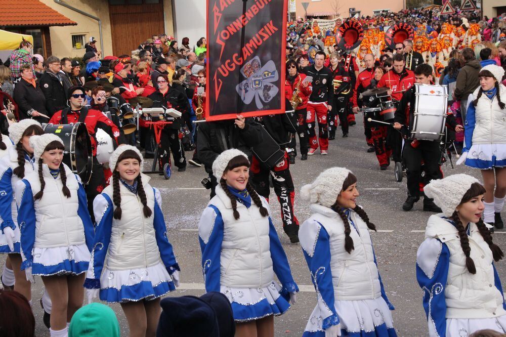 27. Großengstinger Fasnetsumzug 2016