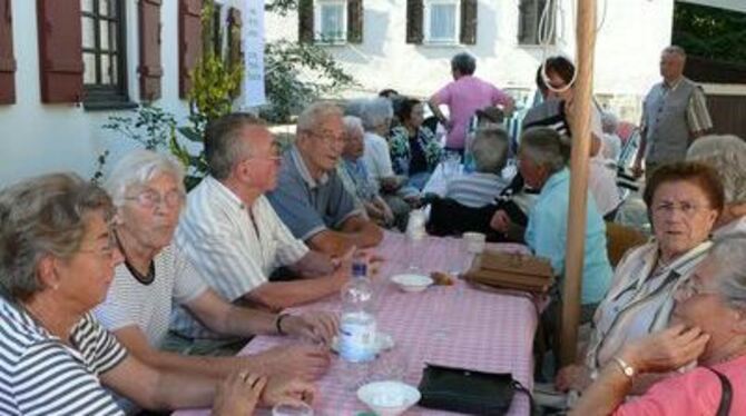 Gemeinsamkeiten schufen Verbindungen: Pliezhäuser Senioren bei der Sommerkaffeerunde. 
FOTO: SANDER