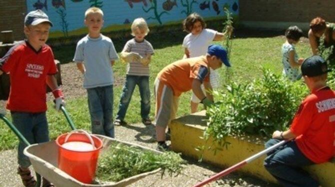 Sammeln Gartenerfahrungen - die Burgweggärtner treffen sich alle drei Wochen einmal.  
FOTO: KABLAOUI