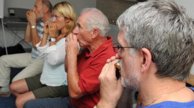 Einige Teilnehmer des Workshops versuchen, die richtigen Töne aus ihrer Blues-Harp zu locken. Gar nicht so einfach!
FOTO: PACHER