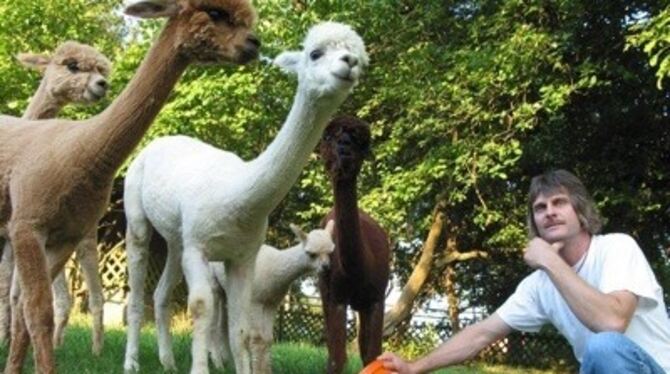 &raquo;Im Frühjahr sind sie am schönsten&laquo;: Die Alpacas sind für Norbert Günzel aus Rübgarten längst zum festen Bestandteil