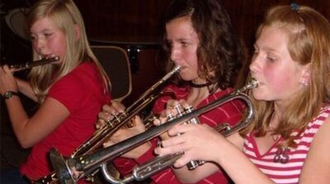 Musikalische Vielfalt: Sommerserenade der Musik-AGs in der Münsinger Alenberghalle. 
FOTO: KÖPER