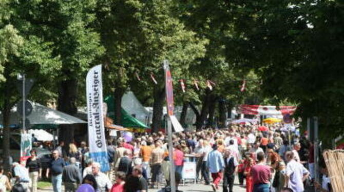 Auf dem Neigschmeckt-Markt: Flanieren und schauen, was es alles gibt. Mitten drin der GEA-Stand. Mehr Fotos in unserer Bildergal