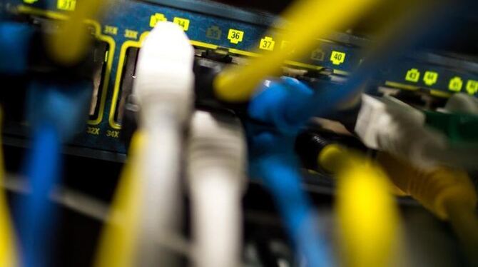 Netzwerkkabel in einem Serverraum: Der Erpressungs-Trojaner verbreitet sich »Locky« auch in Cloudspeichern. Foto: Matthias Ba