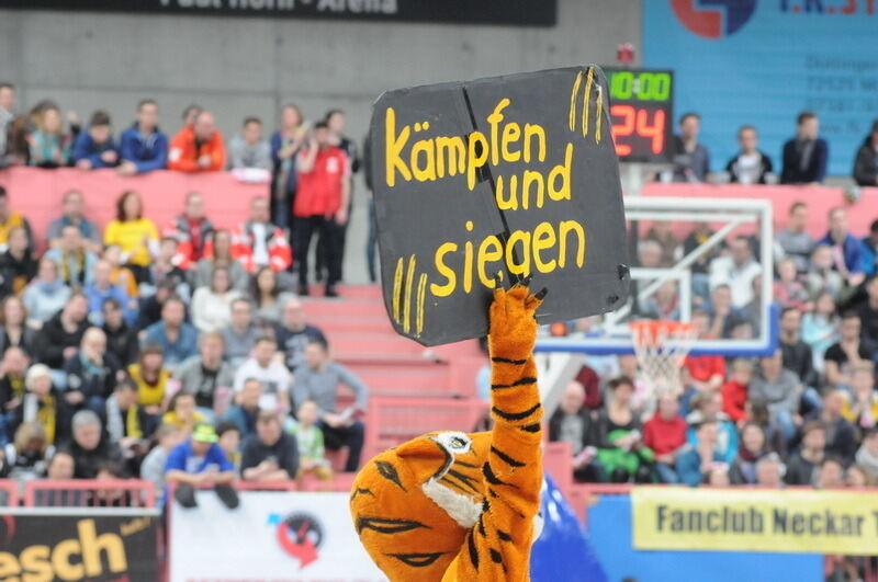 WalterTigers-Bayreuth29 (JPG)