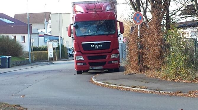 Fotobeweis fürs Amt: Anlieger haben die Lage in der Mittelstädter Keltenstraße dokumentiert.  FOTO: PRIVAT