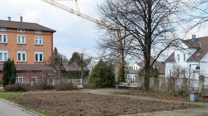 Hier war mal der Apothekergarten. Er wird an anderer Stelle wieder eingerichtet.  FOTO: NIETHAMMER