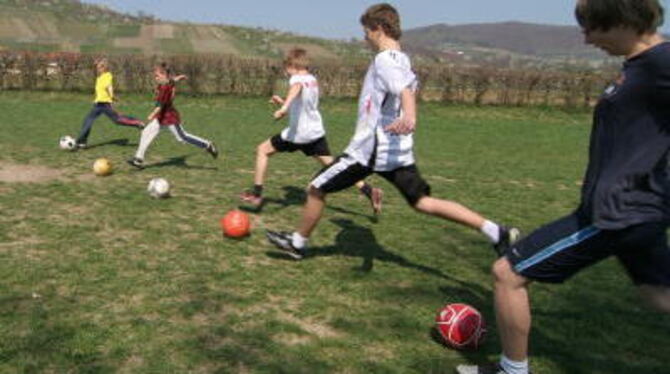 Noch müssen die Jugendlichen des FC 80 Neuhausen auf dem Bolzplatz trainieren. Mit Saisonbeginn 2009 steht ihnen dann ein Region