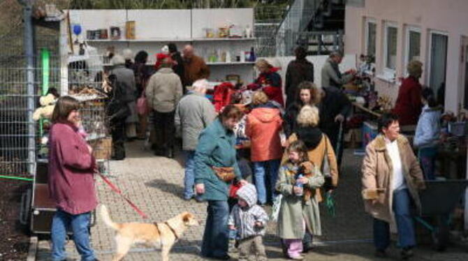 Hunderte Besucher nutzten die Gelegenheit, sich im Tierheim umzuschauen und über den Flohmarkt zu bummeln.  FOTO: ANSTÄDT