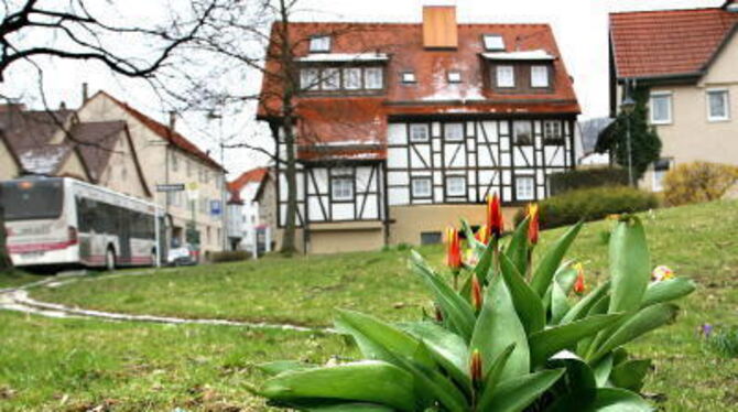 Tatsächlich: Auf dem Brunnenplatz hat sich tatsächlich schon eine mutige Tulpe hervorgetraut. GEA-FOTO: HD