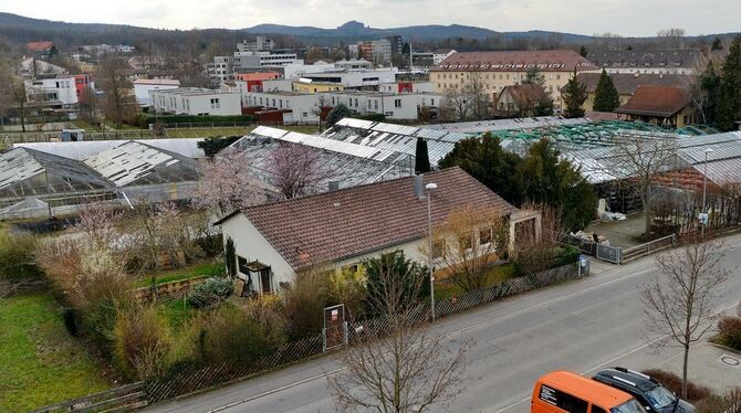 Auf dem Gelände der Gärtnerei Bihler sollen bis 150 Wohnungen entstehen. Der Betrieb läuft bis Ende Juni weiter. Das Haus und Gr