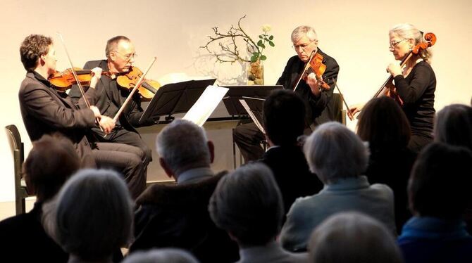 Streichquartett des Martinskollegiums (von links) Stefan Knote, Jörg Stanger, Rainer Lachenmann und Angelika Schlenker.  FOTO: K