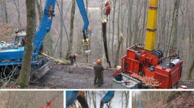 Der Seilkran zieht die Stämme den Berg hoch - ein für die Arbeiter wie für den Waldboden verträgliches Verfahren.  FOTOS: TRINKH