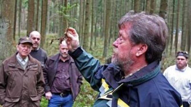 »Die wachsen ganz von alleine«, präsentiert Revierförster Heinz Thumm den Gemeinderäten einen Fichten-Wildling. 
FOTO: BAIER