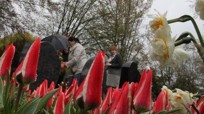 Regenschirme waren gestern Pflicht bei der Eröffnung der Tulpenblüte. FOTOS: LEISTER