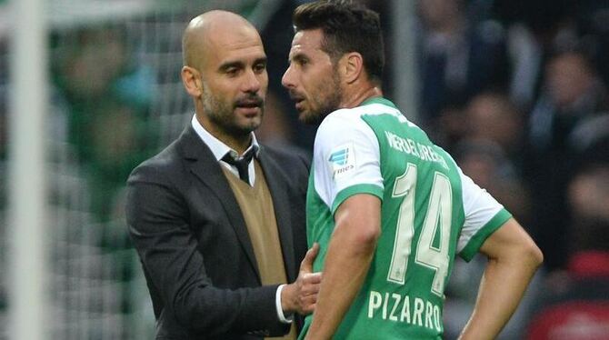 Pep Guardiola über Claudio Pizarro: »Im Strafraum ist Claudio Pizarro Wahnsinn«. Foto: David Hecker