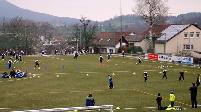 Wenn bei den Nachwuchs-Kickern des VfL Pfullingen Training angesagt ist, dann wimmelt es auf den Plätzen geradezu. FOTO: SCHYSKA