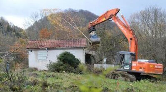 Die Rodungs- und Abrissarbeiten im Bereich des nördlichen Tunnelportals laufen. FOTO: NIETHAMMER