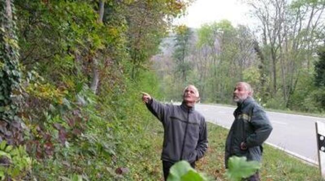 Forstbereichsleiter Georg Kemmner (links) und Revierförster Herbert Hanner begutachten den Waldsaum in der Eninger Steige. GEA-F