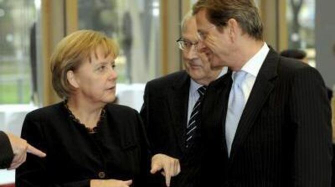 Bundeskanzlerin Merkel mit Guido Westerwelle, dem FDP-Vorsitzenden (rechts), und seinem Stellvertreter Rainer Brüderle.
FOTO: DP