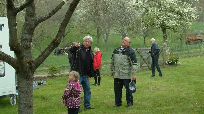 Der OGV-Vorsitzende Alfons Reiske und Pressewart Werner Neubrander informieren über Obstbäume beim Blütenfest auf dem Vereinsgel