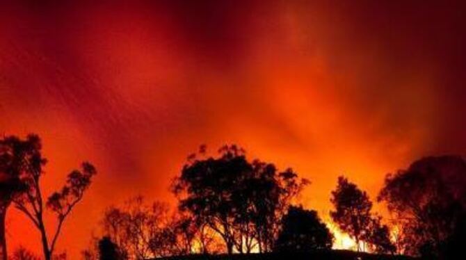 Schwere Buschbrände bedrohen an der australischen Ostküste rund 200 Häuser.
FOTO: DPA