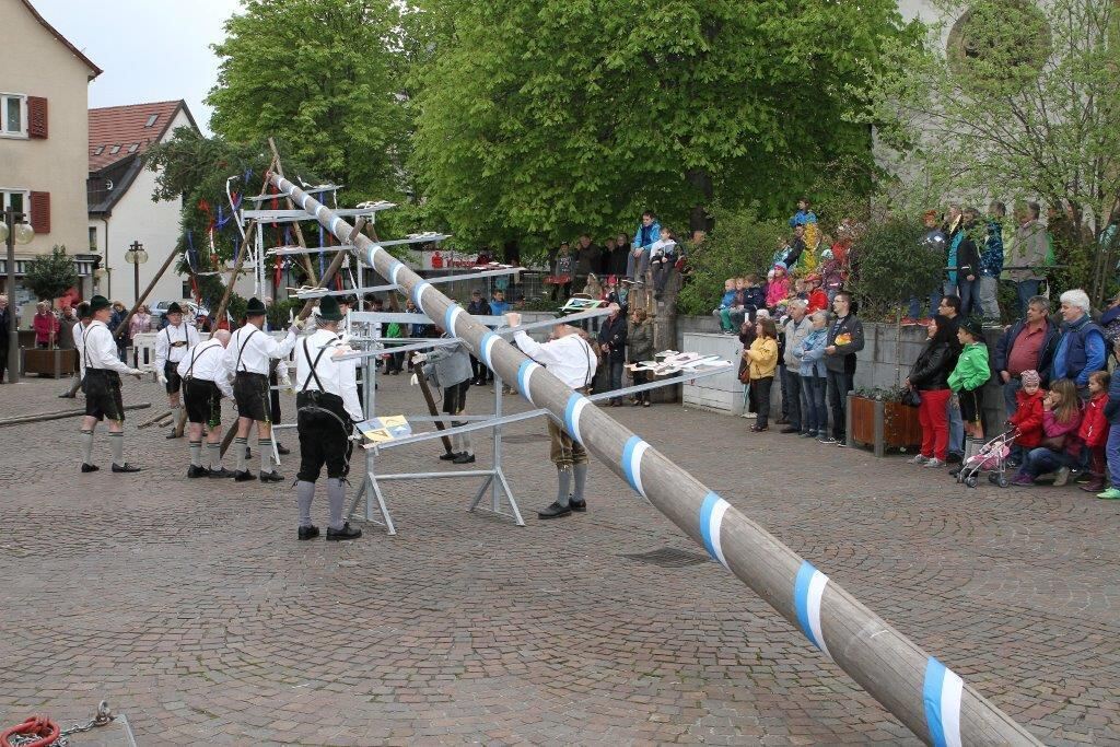 Maibaumaufstellen in Pfullingen 2016