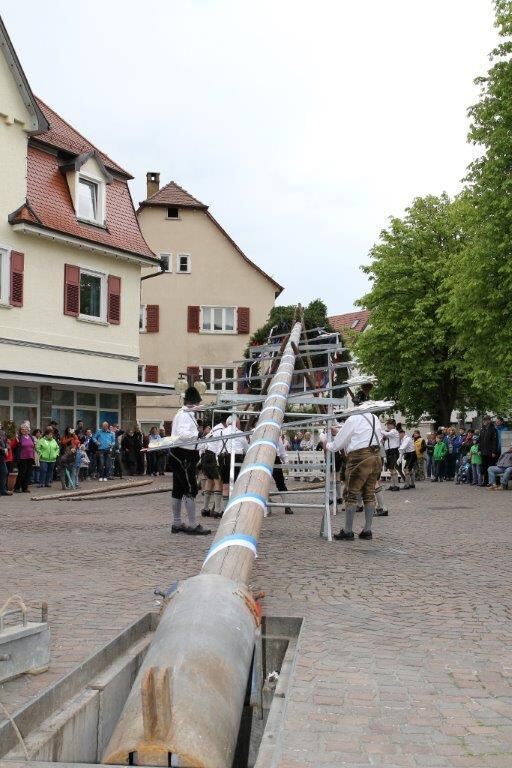 Maibaumaufstellen in Pfullingen 2016